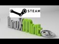 Install & run Steam (latest) in Linux Mint 16 / Ubuntu