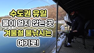 수도권 유일 물이얼지 않는 낚시터 겨울철 물낚시는 여기로 가보자 -경기 남양주 화도낚시터