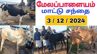 3 / 12 / 2024 / மேலப்பாளையம் மாட்டு சந்தை /Melapalayam Cow Market #மாடு #மாட்டுசந்தை #cow #cowmarket