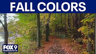 Fall colors begin to peak throughout Minnesota
