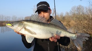 Hooked On Zabar Lake