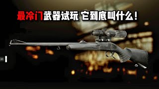 最冷门武器试玩 它到底叫什么！ 逃离塔科夫【米尔Miru】