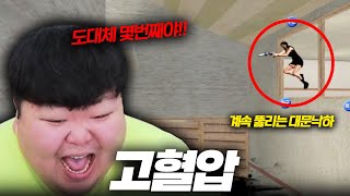 랭크전하다 고혈압으로 쓰러질 것 같습니다