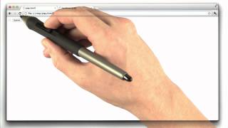 Multiple Checkboxes - Web Development
