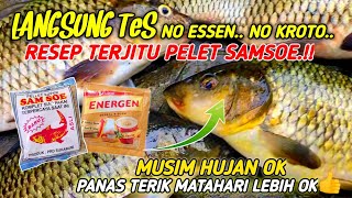 UMPAN TERJITU PELET SAMSOE‼️RACIKAN UMPAN MURAH TANPA ESSEN PALING TOP