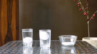 Egg Floating in Water Experiment - Science Projects for Kids | Educational Videos by Mocomi