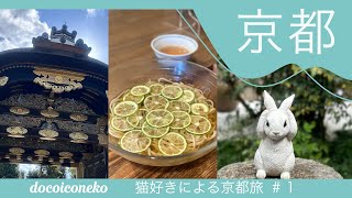 【京都旅】猫好きの3泊4日京都旅行最高すぎた✈️猫恋寺，二条城，京都御所，京都文化博物館，omo東寺🐈