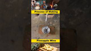 Process of making pineapple wine in desi style #wine #winelover #winetasting #pineapple