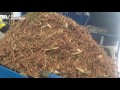 straw and wood mix shredding single shaft shredder wt40120 waste initiatives