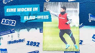 HaHoHe - Eine Woche in Blau-Weiß | 22. Spieltag | Greuther Fürth vs. Hertha BSC