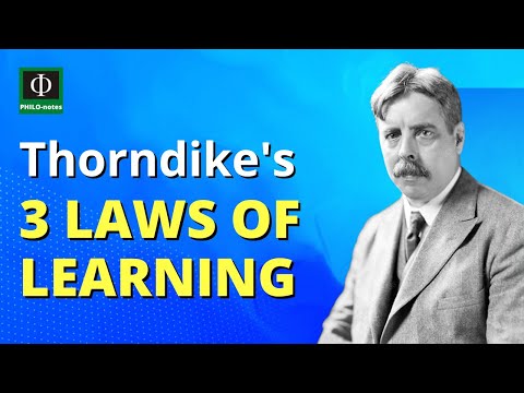 What is the law of effect according to Thorndike?