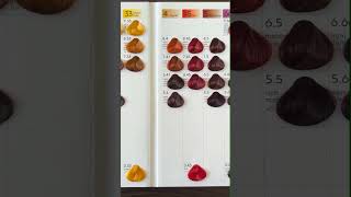 Lourich hair color chart 66 colors