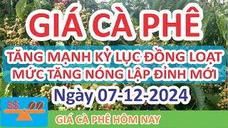 Giá cà phê hôm nay ngày 07/12/2024 | Giá Cà Phê Tăng Mạnh Kỷ Lục Động Loạt