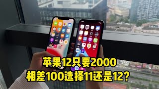 深圳华强北市场1000多元买 iPhone XR？小女孩直接拿一包苹果 iPhone12，真绝！