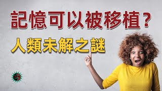 被移植的器官含有捐贈者的記憶？人類的記憶究竟存儲在哪兒？