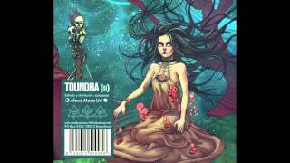 Toundra - Ara Caeli