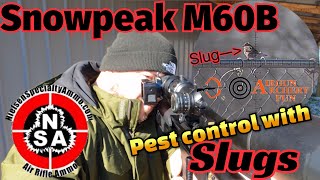 Snowpeak M60B Pest control with NSA Slugs