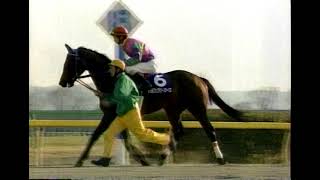 第18回 フェブラリーS  G1 (2001/2/18・東京) ウイングアローの再検量※優勝：ノボトゥルー