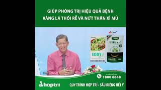 GIÚP PHÒNG TRỊ HIỆU QUẢ BỆNH VÀNG LÁ THỐI RỄ VÀ NỨT THÂN XÌ MỦ