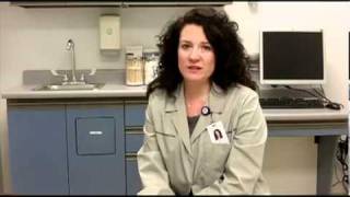 Three possible causes for obesity