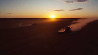 Mallee View Harvest 2022, SA