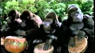 Opening To The Lion King Special Edition 03 Vhs