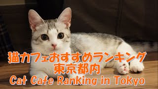 猫カフェ おすすめランキング 東京都内 相互チャンネル登録 Cat Cafe Ranking in Tokyo SUB4SUB