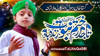 Tajdare Khatm-e-Nabuwwat Zindabad | Labaik Ya Rasool Allah | Muhammad Talha Qadri