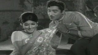 Kalam Marindi Movie Songs || Mundharunna Chinnadhaani || Shobhan Babu || Sharada