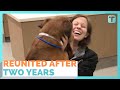 Woman Reunited With Dog Lost For More Than Two Years