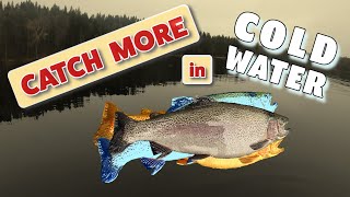 How to Catch More Fish in Cold Water