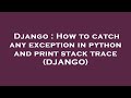 Django : How to catch any exception in python and print stack trace (DJANGO)