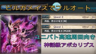 少女とドラゴン-幻獣契約クリプトラクト-【再臨､黙示の竜王】ビルガメイスで神話級アポカリプスを高速周回