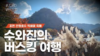 [수와진의 버스킹여행 ] 포천 산정호수 억새꽃축제 (23.10.14)