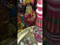 জয় লক্ষ্মী নারায়ণ ytshorts subscribe viral প্রণাম arati