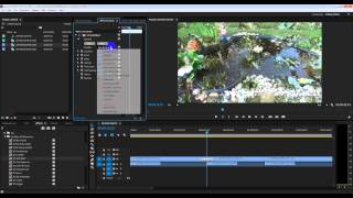 Adobe Premiere Pro CC: transitions,переходы