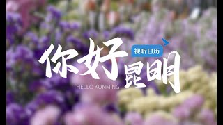 视听日历｜你好昆明：送你一朵昆明花