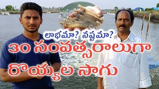 టైగర్ వనామి రొయ్యల సాగులో 30 సంవత్సరాల అనుభవం  30 years of experience in Tiger Vanami shrimp farming