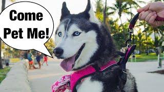 Meeka Goes On Vacation To Miami! (SHE TALKS!) Vlog
