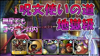 【DQMSL】呪文使いの道　地獄級（体技パ3Rクリア）無星のみ