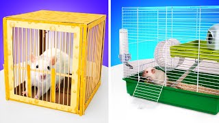 DIY Rat Trap And Rat House || | No Rats Harmed
