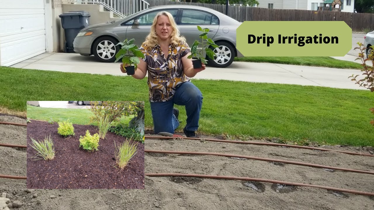 How To Install Drip Irrigation Youtube