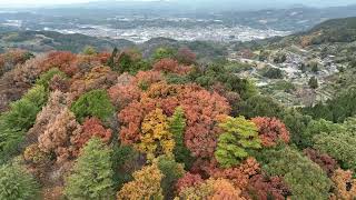 ドローン空撮でしか観れないグリーンピア八女の紅葉🍁#八女市黒木町#ドローン空撮#drone #MAVIC3