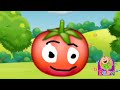 البندورة الحمرا_ طيور بيبي |Toyor baby 