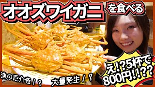 【大ズワイガニ】北海道で大量発生中の｢大ズワイガニ｣を食べてみた！【カニ料理4品】