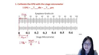 Chapter 1.2 - Micrometry and Magnification | Cambridge A-Level 9700 Biology