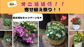 【オニ通通信】寄せ植え祭り！お得なキャンペーンも！！