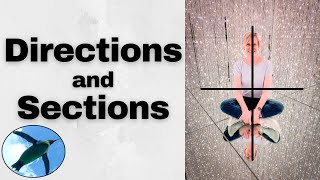 Anatomicsl Directions and Sections | A&P Basics 🐧
