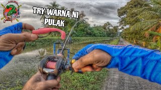 MANCING IKAN HARUAN OR FISHING SNAKEHEAD|Layan mancing petang-petang kita casting haruan.