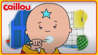 Meer dan 3 uur Caillou! | Caillou Nederlands - WildBrain